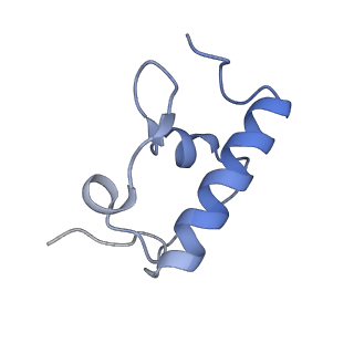 37561_8wi9_s_v1-0
Cryo- EM structure of Mycobacterium smegmatis 30S ribosomal subunit (body 2) of 70S ribosome, bS1 and RafH.