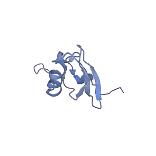 37561_8wi9_t_v1-0
Cryo- EM structure of Mycobacterium smegmatis 30S ribosomal subunit (body 2) of 70S ribosome, bS1 and RafH.