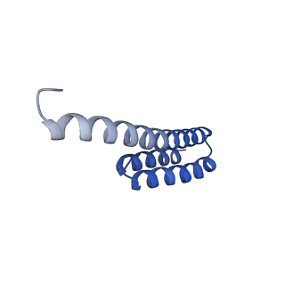 37561_8wi9_u_v1-0
Cryo- EM structure of Mycobacterium smegmatis 30S ribosomal subunit (body 2) of 70S ribosome, bS1 and RafH.