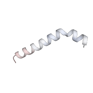 37561_8wi9_v_v1-0
Cryo- EM structure of Mycobacterium smegmatis 30S ribosomal subunit (body 2) of 70S ribosome, bS1 and RafH.