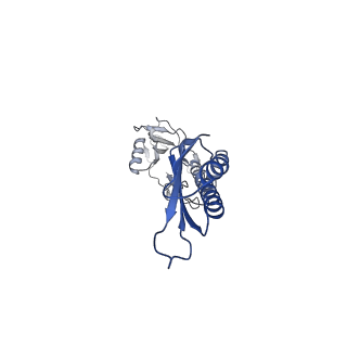 37561_8wi9_w_v1-0
Cryo- EM structure of Mycobacterium smegmatis 30S ribosomal subunit (body 2) of 70S ribosome, bS1 and RafH.