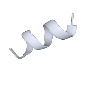 37561_8wi9_x_v1-0
Cryo- EM structure of Mycobacterium smegmatis 30S ribosomal subunit (body 2) of 70S ribosome, bS1 and RafH.