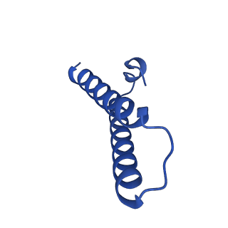 37562_8wib_2_v1-0
Cryo- EM structure of Mycobacterium smegmatis 70S ribosome, E- tRNA and RafH.