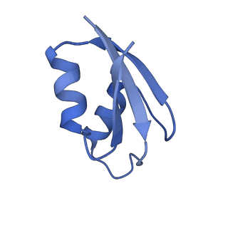 37562_8wib_3_v1-0
Cryo- EM structure of Mycobacterium smegmatis 70S ribosome, E- tRNA and RafH.