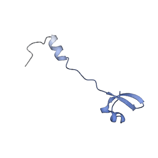 37562_8wib_5_v1-0
Cryo- EM structure of Mycobacterium smegmatis 70S ribosome, E- tRNA and RafH.