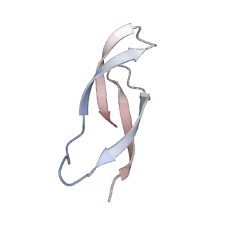 37562_8wib_6_v1-0
Cryo- EM structure of Mycobacterium smegmatis 70S ribosome, E- tRNA and RafH.