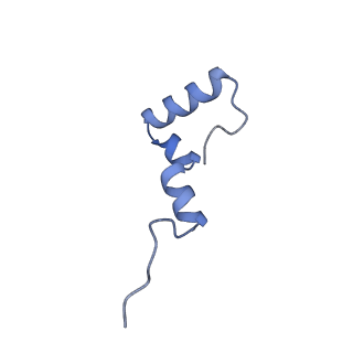 37562_8wib_7_v1-0
Cryo- EM structure of Mycobacterium smegmatis 70S ribosome, E- tRNA and RafH.