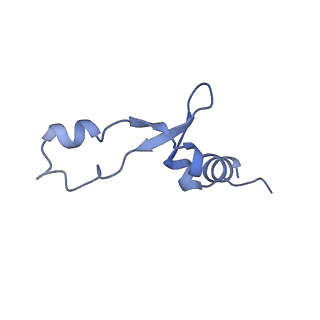 37562_8wib_8_v1-0
Cryo- EM structure of Mycobacterium smegmatis 70S ribosome, E- tRNA and RafH.