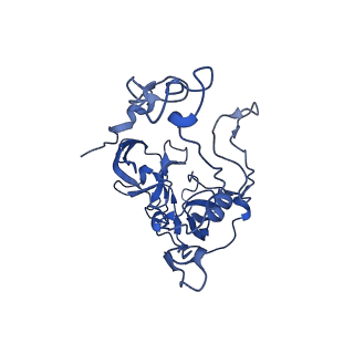 37562_8wib_E_v1-0
Cryo- EM structure of Mycobacterium smegmatis 70S ribosome, E- tRNA and RafH.