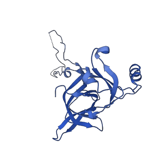 37562_8wib_F_v1-0
Cryo- EM structure of Mycobacterium smegmatis 70S ribosome, E- tRNA and RafH.