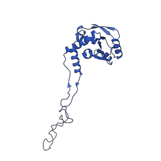 37562_8wib_G_v1-0
Cryo- EM structure of Mycobacterium smegmatis 70S ribosome, E- tRNA and RafH.