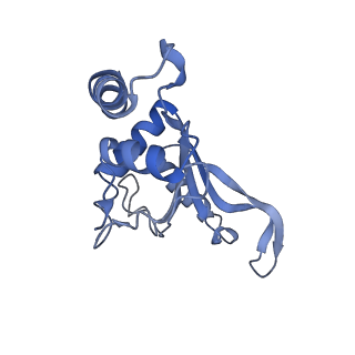 37562_8wib_H_v1-0
Cryo- EM structure of Mycobacterium smegmatis 70S ribosome, E- tRNA and RafH.