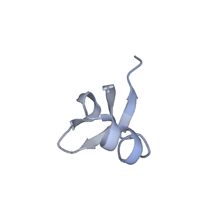 37562_8wib_J_v1-0
Cryo- EM structure of Mycobacterium smegmatis 70S ribosome, E- tRNA and RafH.