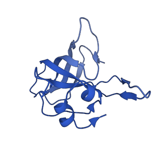 37562_8wib_N_v1-0
Cryo- EM structure of Mycobacterium smegmatis 70S ribosome, E- tRNA and RafH.