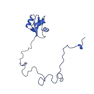 37562_8wib_O_v1-0
Cryo- EM structure of Mycobacterium smegmatis 70S ribosome, E- tRNA and RafH.