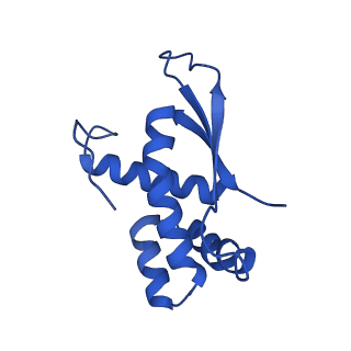 37562_8wib_Q_v1-0
Cryo- EM structure of Mycobacterium smegmatis 70S ribosome, E- tRNA and RafH.