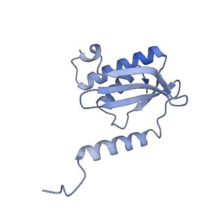 37562_8wib_R_v1-0
Cryo- EM structure of Mycobacterium smegmatis 70S ribosome, E- tRNA and RafH.