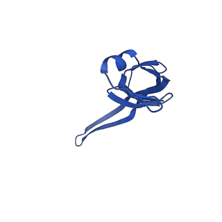 37562_8wib_U_v1-0
Cryo- EM structure of Mycobacterium smegmatis 70S ribosome, E- tRNA and RafH.