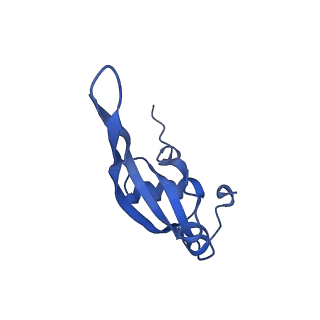 37562_8wib_W_v1-0
Cryo- EM structure of Mycobacterium smegmatis 70S ribosome, E- tRNA and RafH.