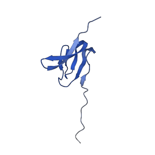 37562_8wib_Z_v1-0
Cryo- EM structure of Mycobacterium smegmatis 70S ribosome, E- tRNA and RafH.