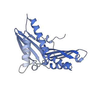 37562_8wib_d_v1-0
Cryo- EM structure of Mycobacterium smegmatis 70S ribosome, E- tRNA and RafH.