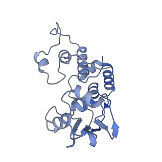 37562_8wib_e_v1-0
Cryo- EM structure of Mycobacterium smegmatis 70S ribosome, E- tRNA and RafH.