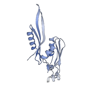 37562_8wib_f_v1-0
Cryo- EM structure of Mycobacterium smegmatis 70S ribosome, E- tRNA and RafH.