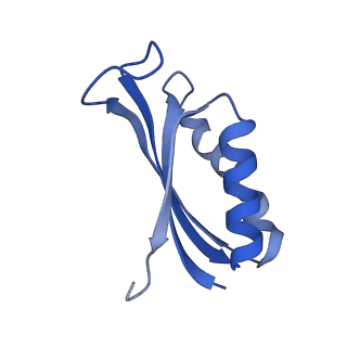 37562_8wib_g_v1-0
Cryo- EM structure of Mycobacterium smegmatis 70S ribosome, E- tRNA and RafH.