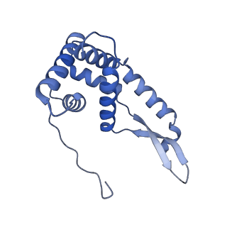37562_8wib_h_v1-0
Cryo- EM structure of Mycobacterium smegmatis 70S ribosome, E- tRNA and RafH.