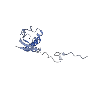 37562_8wib_j_v1-0
Cryo- EM structure of Mycobacterium smegmatis 70S ribosome, E- tRNA and RafH.