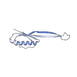 37562_8wib_k_v1-0
Cryo- EM structure of Mycobacterium smegmatis 70S ribosome, E- tRNA and RafH.