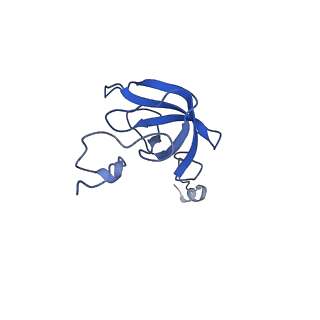 37562_8wib_m_v1-0
Cryo- EM structure of Mycobacterium smegmatis 70S ribosome, E- tRNA and RafH.