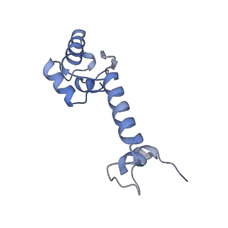 37562_8wib_n_v1-0
Cryo- EM structure of Mycobacterium smegmatis 70S ribosome, E- tRNA and RafH.
