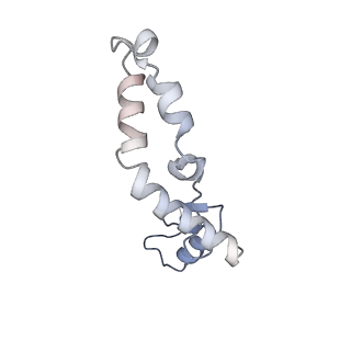 37562_8wib_o_v1-0
Cryo- EM structure of Mycobacterium smegmatis 70S ribosome, E- tRNA and RafH.