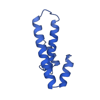37562_8wib_p_v1-0
Cryo- EM structure of Mycobacterium smegmatis 70S ribosome, E- tRNA and RafH.