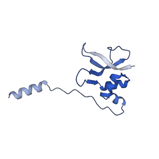 37562_8wib_q_v1-0
Cryo- EM structure of Mycobacterium smegmatis 70S ribosome, E- tRNA and RafH.