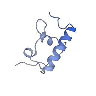 37562_8wib_s_v1-0
Cryo- EM structure of Mycobacterium smegmatis 70S ribosome, E- tRNA and RafH.