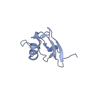 37562_8wib_t_v1-0
Cryo- EM structure of Mycobacterium smegmatis 70S ribosome, E- tRNA and RafH.