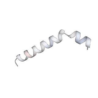 37562_8wib_v_v1-0
Cryo- EM structure of Mycobacterium smegmatis 70S ribosome, E- tRNA and RafH.