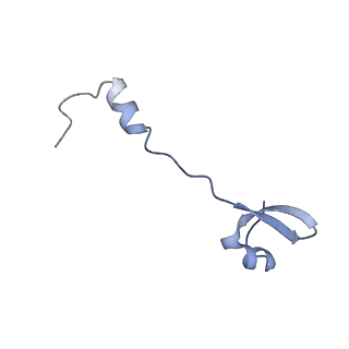 37563_8wic_5_v1-0
Cryo- EM structure of Mycobacterium smegmatis 50S ribosomal subunit (body 1) of 70S ribosome, E- tRNA and RafH.