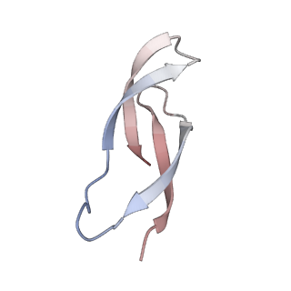 37563_8wic_6_v1-0
Cryo- EM structure of Mycobacterium smegmatis 50S ribosomal subunit (body 1) of 70S ribosome, E- tRNA and RafH.