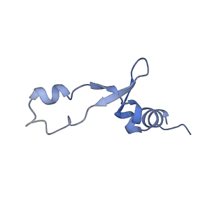 37563_8wic_8_v1-0
Cryo- EM structure of Mycobacterium smegmatis 50S ribosomal subunit (body 1) of 70S ribosome, E- tRNA and RafH.