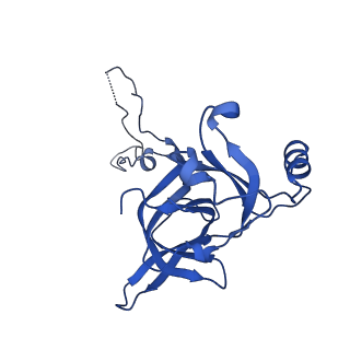 37563_8wic_F_v1-0
Cryo- EM structure of Mycobacterium smegmatis 50S ribosomal subunit (body 1) of 70S ribosome, E- tRNA and RafH.
