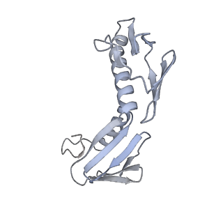 37563_8wic_I_v1-0
Cryo- EM structure of Mycobacterium smegmatis 50S ribosomal subunit (body 1) of 70S ribosome, E- tRNA and RafH.