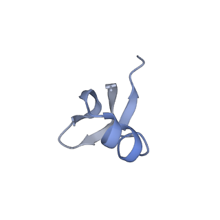 37563_8wic_J_v1-0
Cryo- EM structure of Mycobacterium smegmatis 50S ribosomal subunit (body 1) of 70S ribosome, E- tRNA and RafH.