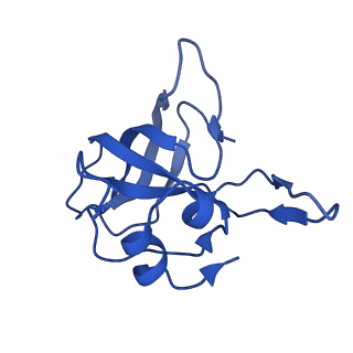 37563_8wic_N_v1-0
Cryo- EM structure of Mycobacterium smegmatis 50S ribosomal subunit (body 1) of 70S ribosome, E- tRNA and RafH.