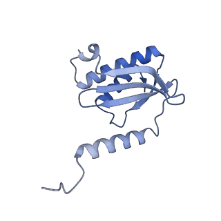 37563_8wic_R_v1-0
Cryo- EM structure of Mycobacterium smegmatis 50S ribosomal subunit (body 1) of 70S ribosome, E- tRNA and RafH.