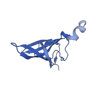 37563_8wic_S_v1-0
Cryo- EM structure of Mycobacterium smegmatis 50S ribosomal subunit (body 1) of 70S ribosome, E- tRNA and RafH.