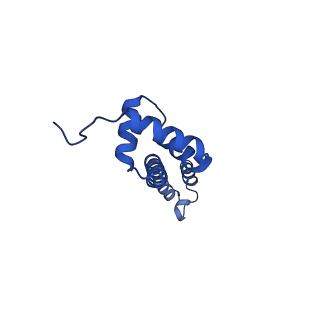 37563_8wic_T_v1-0
Cryo- EM structure of Mycobacterium smegmatis 50S ribosomal subunit (body 1) of 70S ribosome, E- tRNA and RafH.