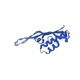 37563_8wic_V_v1-0
Cryo- EM structure of Mycobacterium smegmatis 50S ribosomal subunit (body 1) of 70S ribosome, E- tRNA and RafH.